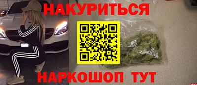 прущие грибы Новозыбков