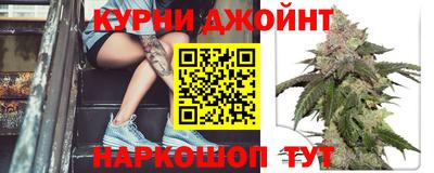 прущие грибы Новозыбков