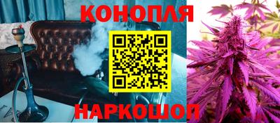 прущие грибы Новозыбков