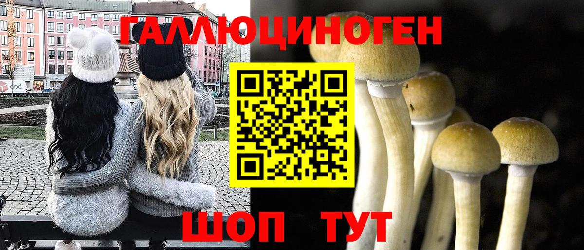 Ульяновск  Галлюциногенные грибы Psilocybe  Псилоцибиновые грибы ЛСД  Вход с VPN 