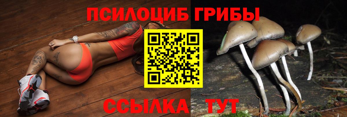 Псилоцибиновые грибы мицелий Ульяновск