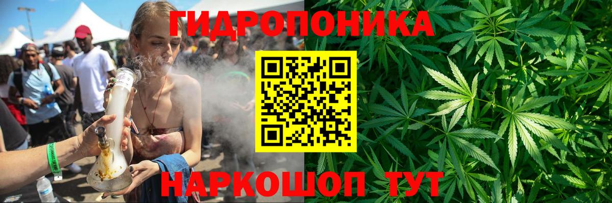 Ульяновск  Конопля планчик  Марихуана план  Вход с VPN 
